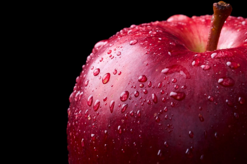 Photo by: Miguel Santos Novoa