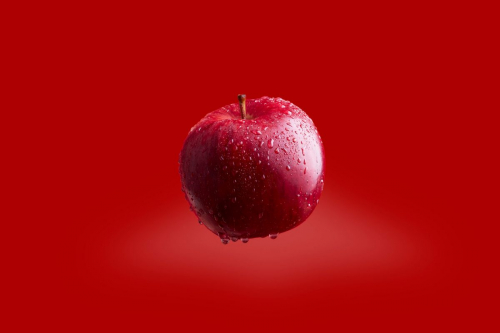 Photo by: http://pro-snaps.stream