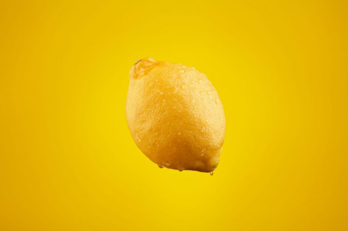 ©Photo by: Miguel Santos Novoa