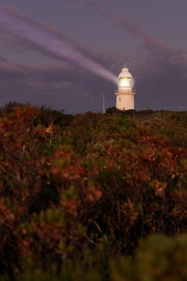 ©Photo by: Miguel Santos Novoa