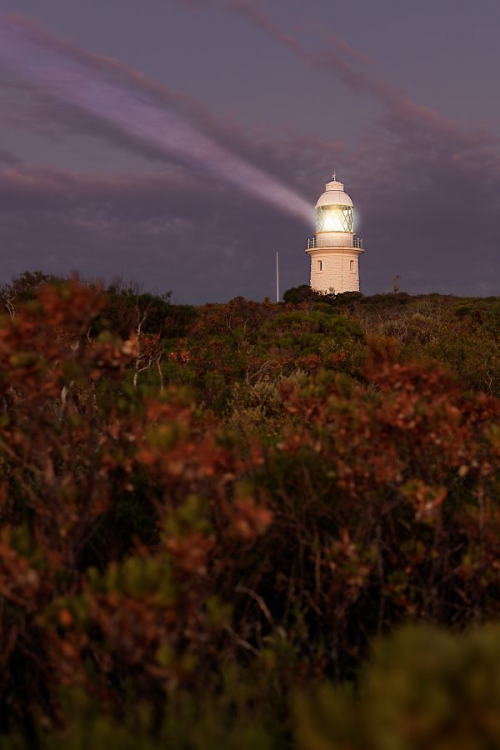 ©Photo by: Miguel Santos Novoa