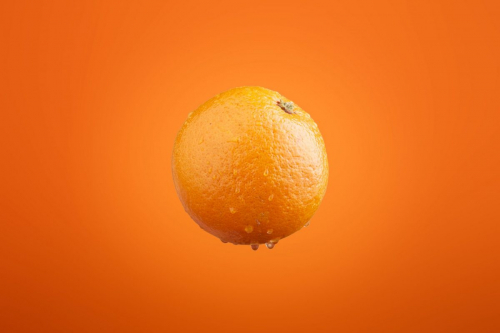 Photo by: Miguel Santos Novoa