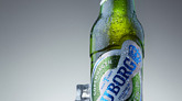 Beer-tuborg-bottle